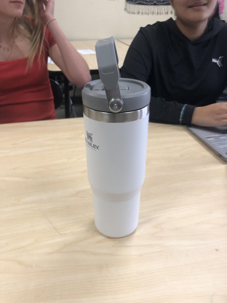 Stanley water bottle sitting at attention on students desk