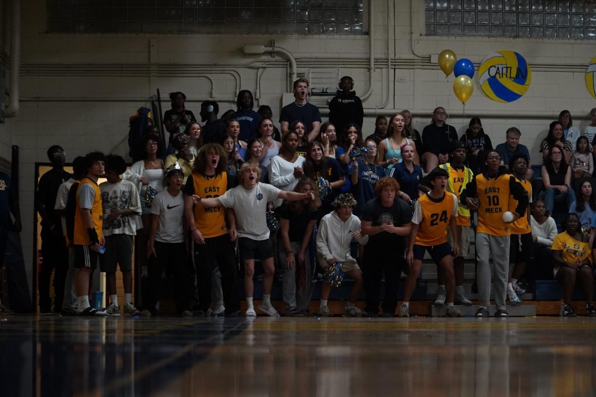 Hype Nest takes the lead on school spirit