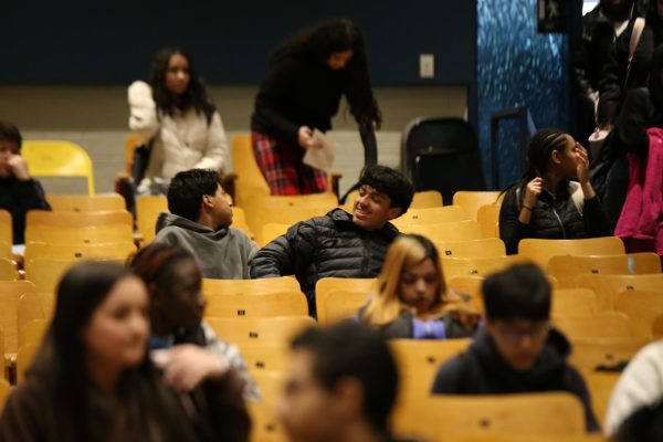 Bilingüismo bajo presión: La realidad del ACCESS